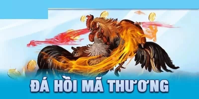 Tìm hiểu sơ lược về đá hồi mã thương